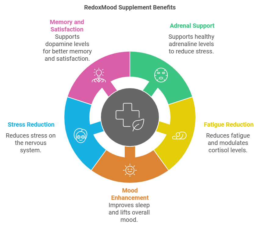 RedoxMood Supplement Benefits